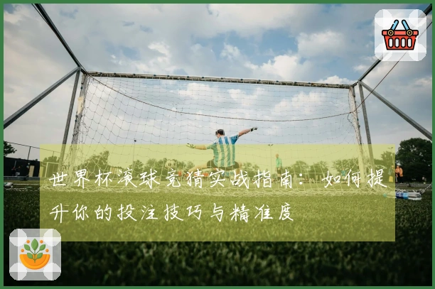 世界杯滚球竞猜实战指南：如何提升你的投注技巧与精准度