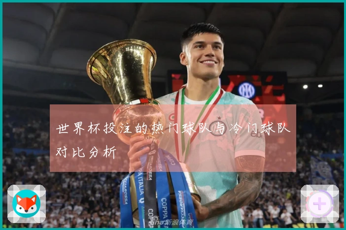 世界杯投注的热门球队与冷门球队对比分析