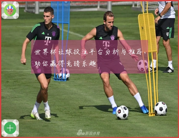 世界杯让球投注平台分析与推荐，助你赢得竞猜乐趣