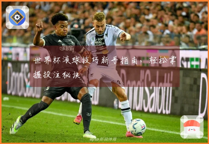 世界杯滚球技巧新手指南，轻松掌握投注秘诀