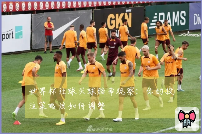 世界杯让球买球赔率观察：你的投注策略该如何调整