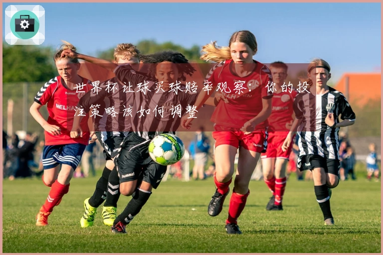 世界杯让球买球赔率观察：你的投注策略该如何调整