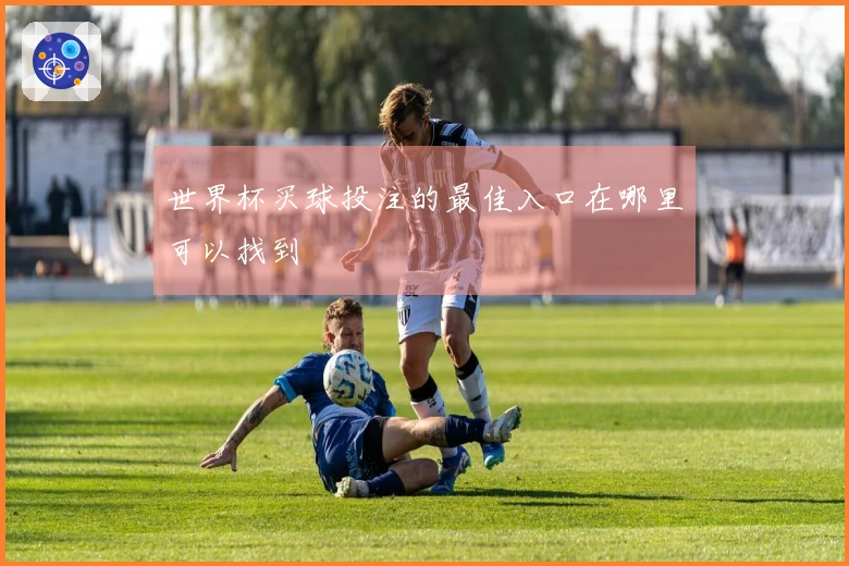 世界杯买球投注的最佳入口在哪里可以找到