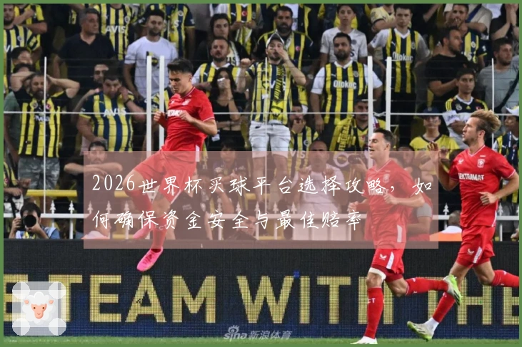 2026世界杯买球平台选择攻略，如何确保资金安全与最佳赔率