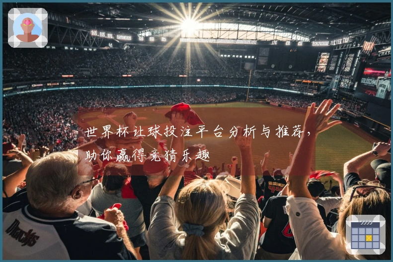 世界杯让球投注平台分析与推荐，助你赢得竞猜乐趣