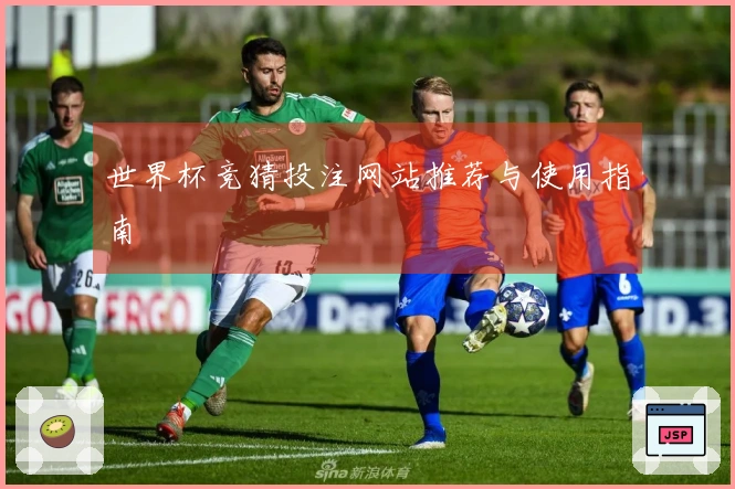 世界杯竞猜投注网站推荐与使用指南