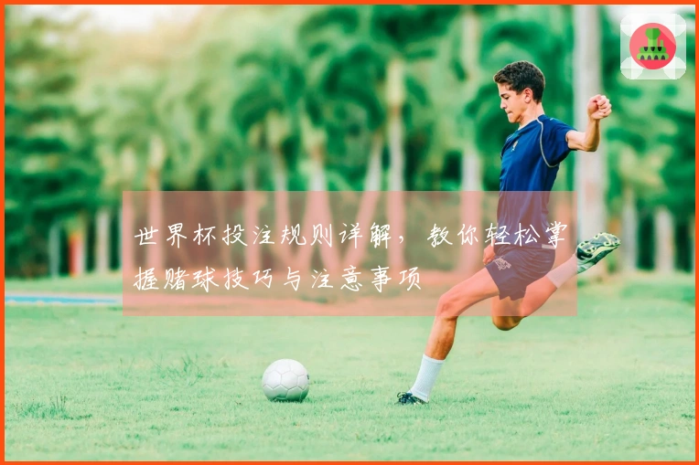 世界杯投注规则详解，教你轻松掌握赌球技巧与注意事项
