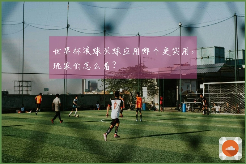 世界杯滚球买球应用哪个更实用，玩家们怎么看？