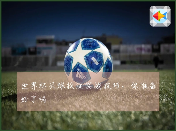 世界杯买球投注实战技巧，你准备好了吗