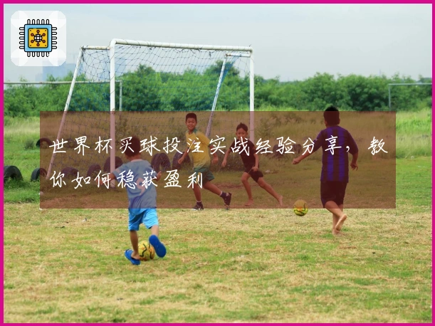 世界杯买球投注实战经验分享，教你如何稳获盈利