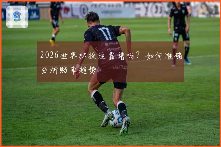 2026世界杯投注靠谱吗？如何准确分析赔率趋势